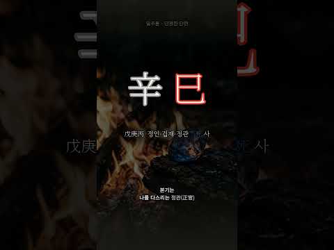 불 곁에 놓인 보석 | 신사(辛巳) 일주