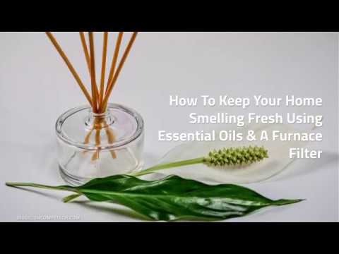 download lagu mp3 mp4 Essential Oil On Furnace Filter, download lagu Essential Oil On Furnace Filter gratis, unduh video klip Essential Oil On Furnace Filter