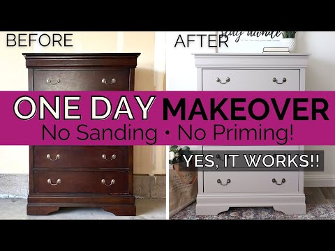 Painting Furniture Without Sanding or Priming 🤩 | All in One Paint | One Day Makeover