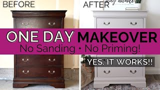 Painting Furniture Without Sanding or Priming 🤩 | All in One Paint | One Day Makeover