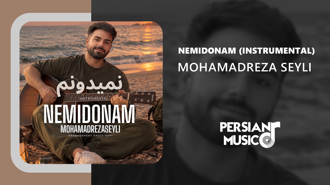 Mohamadreza Seyli - Nemidonam (Instrumental) |  آهنگ بیکلام نمیدونم از محمدرضا سیلی