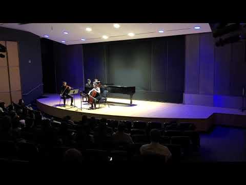 Faure Piano Trio in D minor, op.120