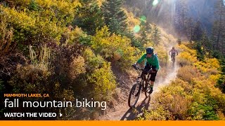 Mountain Biking Hotspots for Fall Color by Expert Rider – Luke Wynen