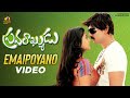 Pravarakyudu Telugu Movie Songs Emaipoyano Video Song Jagapathi Babu Priyamani Mango Music