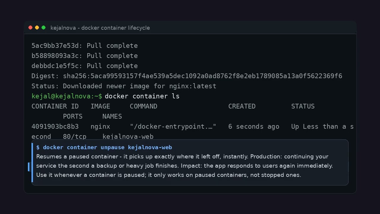 Docker Container Lifecycle Explained: run, pause, stop, restart & remove