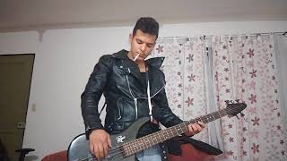 Gina- Stray Cats