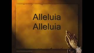 Download lagu Agnus Dei (Lamb of God) by Michael W. Smith with lyrics (1 hour repeat) mp3