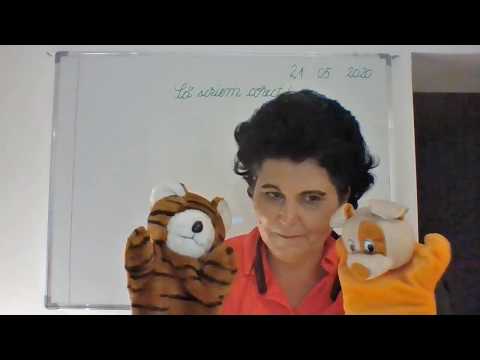 034, Lectii online, CLR, clasa I - Cuvinte cu aceeasi forma si inteles diferit - Omonime