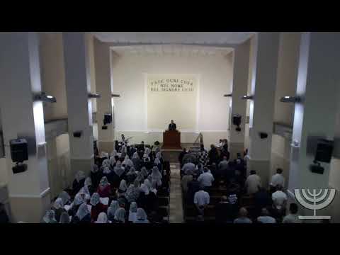 2019-07-28 Domenica Sera - Fr  Barbagallo - Fr Gemelli - SALMO 139