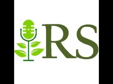 S3E55 Noise Pollution