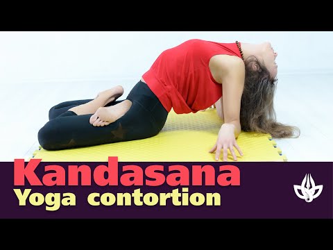Kandasana, Mulabandhasana, Padmasana and Gymnastics Performance.