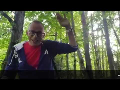 MPD odc.8 - Na grzyby! :)