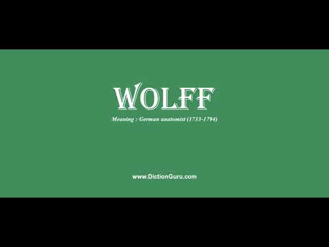 wolff: How to pronounce wolff with Phonetic and Examples