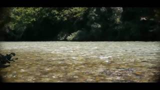 preview picture of video 'ボスニアのソフトマウストラウト/Adriatic trout in Neretva River'