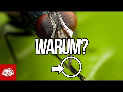 Die Vitamine für die Leber bei der Schuppenflechte Die Kurorte für die Behandlung der Schuppenflechte in rossii die Sanatorien