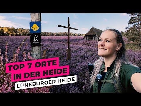 Lüneburg Heath – 7 places you must see | Solo Vanlife