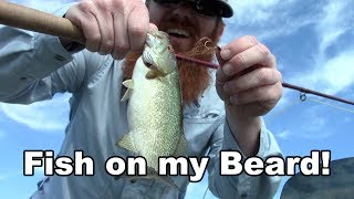 Man uses his own BEARD to catch fish - Bass Fishing - McFly Angler Fly Tying