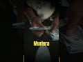 MERCADO DE ASESINOS La Darknet Revelada Crimenreal Gatitomalo Relatosbizarros