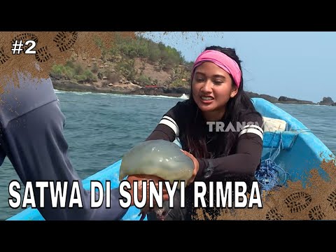 SATWA DI SUNYI RIMBA | JEJAK PETUALANG (12/02/26) Part 2