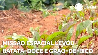Miniatura do vídeo