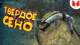 Assassin's Creed "Баги, Приколы, Фейлы"