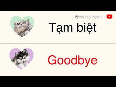 Speak Vietnamese in 10 Minutes! Basic Sentences You MUST Know