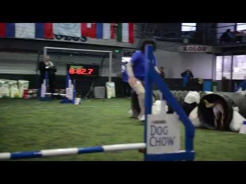 KSK Agility March 8 FINAL 1