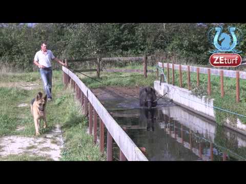 Rencontre avec Nicolas RAIMBEAUX (Part1) - A2TURF.COM