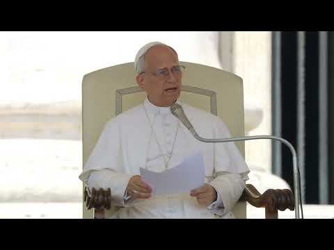 Pope Leo: Don't give in to despair!