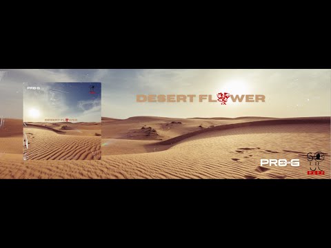 Progisthename & SoulDeep Zim - Desert Flower (Official Audio)