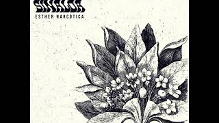 Flores de Sinaloa - Esther narcótica (Babasónicos)