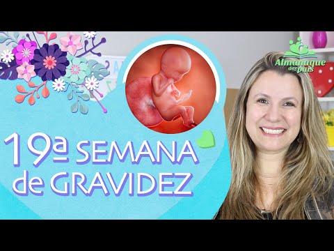19th WEEK OF PREGNANCY | Recognizes Voice, Baby and Belly Size | 2nd QUARTER OF PREGNANCY
