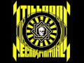 Stillborn - Albino Flogged In Black