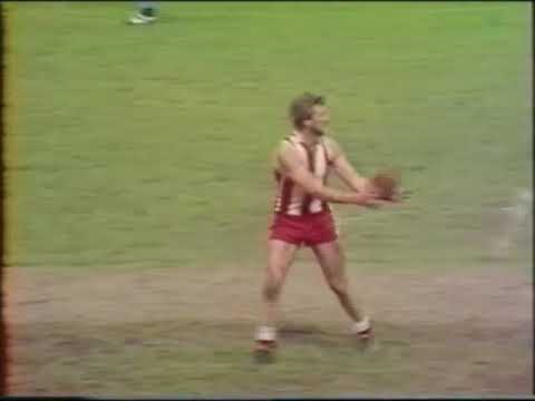 South Gambier vs Hamilton 1981 WBFL Grand Final