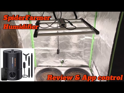 Optimale Luftfeuchtigkeit für Sämling 60-70% | New Spider Farmer 5L Humidifier RJ Kabel App control