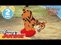 The Mini Adventures Of Winnie The Pooh Tigger S Balloon Disneykids
