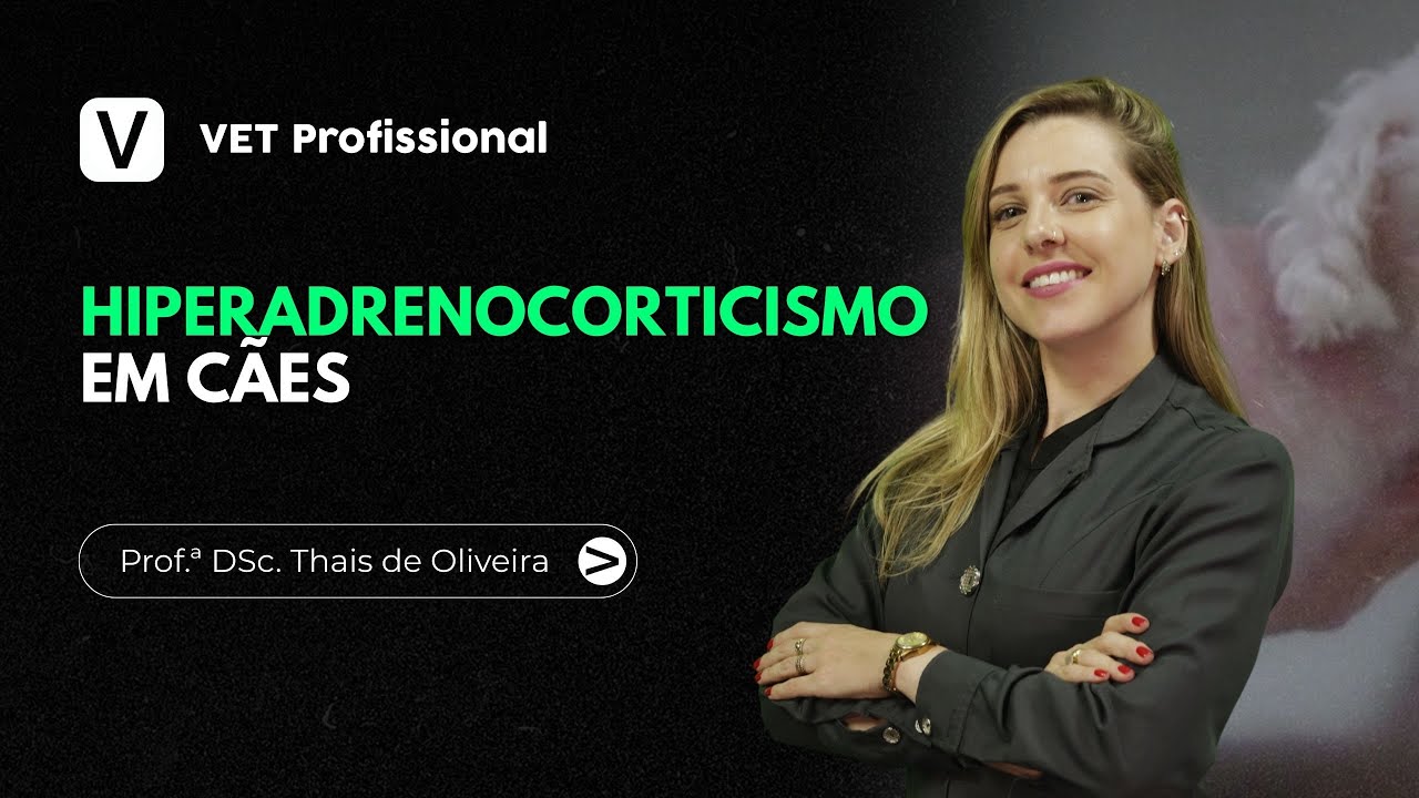 Hiperadrenocorticismo em cães | VET Profissional