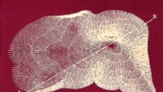 Andy Partridge & Harold Budd - Well For The Sweat Of The Moon