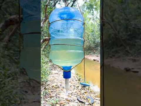 WATER SAVING Secrets You Need To Know NOW!