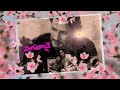 Amma Song Lyrical Guntur Kaaram Mahesh Babu Ramya Krishnan WhatsApp Status Video