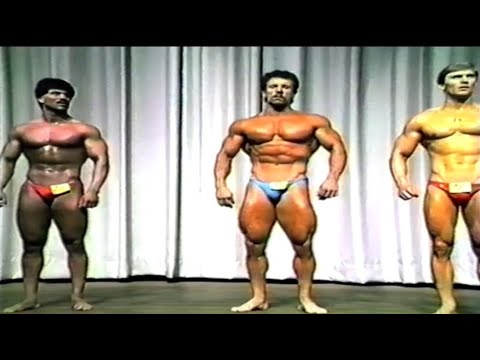 Hanse Cup 1984 - VNBB / BDB  - Teil 2