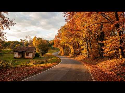 🌄De Dois irmãos a Ivoti:  A Estrada Mais Bonita do Sul!