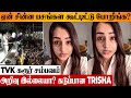 TVK KARUR INCIDENT Trisha Angry Reaction To Rally Stampede Thalapathy Vijay Latest Update