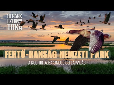 Fertő-Hanság Nemzeti Park | A kultúrtájba simuló ősi lápvilág