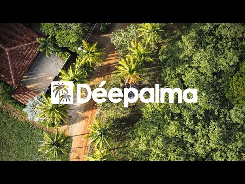 Green George - See You Again [Déepalma Records]