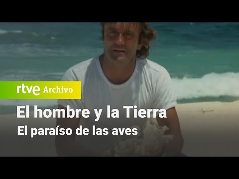 El hombre y la Tierra: Chapter 15 - The world of coral | RTVE Archivo