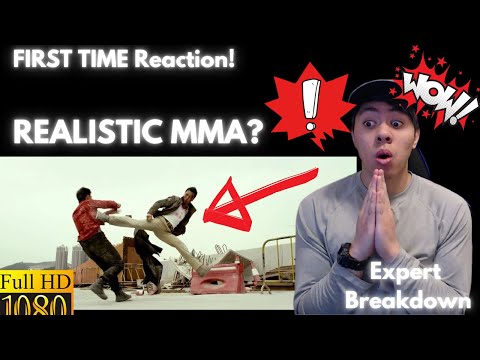 MOST REALISTIC FIGHT EVER? Martial Arts Instructor Reacts to SPECIAL ID (Donnie Yen / Ip Man!) FIRST