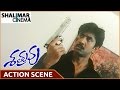 Shatruvu Movie Naveen Kill Villains Action Scene Naveen Navneet Kaur Shalimarcinema