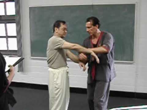 GM Leung Ting and Sifu Klaus Brand kau to bong demo