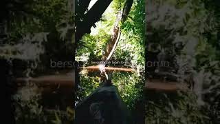 Download lagu STORY WA TUKANG OJEK: DEWA 19 - HADAPI DENGAN SENYUMAN mp3 Download lagu STORY WA TUKANG OJEK: DEWA 19 - HADAPI DENGAN SENYUMAN mp3